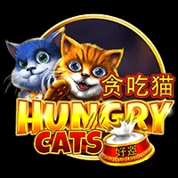 Hungry Cats