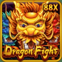 Dragon Fight